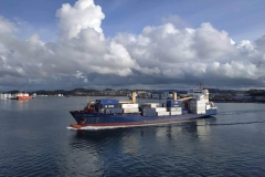 Concordia-II