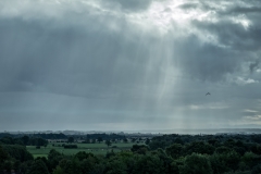 020