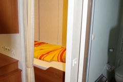 IGP2856